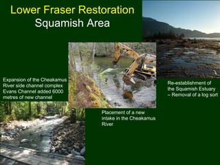 Lower Fraser Restoration
Squamish Area
Re-establishment of
the Squamish Estuary
– Removal of a log sort
Expansion of the Cheakamus
River side channel complex
Evans Channel added 6000
metres of new channel
Placement of a new
intake in the Cheakamus
River
 