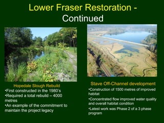 Lower Fraser Restoration -
Continued
Stave Off-Channel development
•Construction of 1500 metres of improved
habitat
•Concentrated flow improved water quality
and overall habitat condition
•Latest work was Phase 2 of a 3 phase
program
Hopedale Slough Rebuild
•First constructed in the 1980’s
•Required a total rebuild – 4000
metres
•An example of the commitment to
maintain the project legacy
 