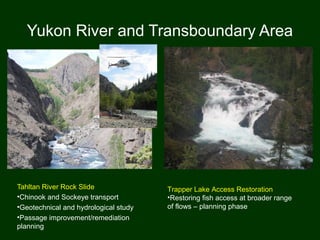 Yukon River and Transboundary Area
Tahltan River Rock Slide
•Chinook and Sockeye transport
•Geotechnical and hydrological study
•Passage improvement/remediation
planning
Trapper Lake Access Restoration
•Restoring fish access at broader range
of flows – planning phase
 