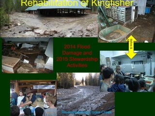 2014 Flood
Damage and
2015 Stewardship
Activities
Rehabilitation of Kingfisher
Re-engineering Cooke Creek
Before&
After
 