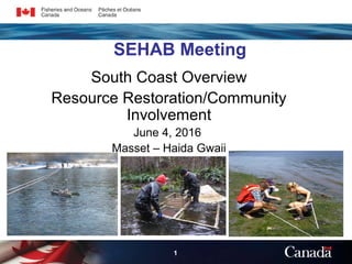 1
SEHAB Meeting
South Coast Overview
Resource Restoration/Community
Involvement
June 4, 2016
Masset – Haida Gwaii
 