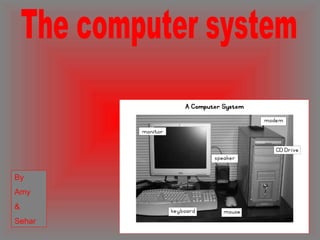 The computer system By Amy  & Sehar   