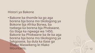 SEHLOPHA SA BAKONE. Molaetsa wa padikopna ya 