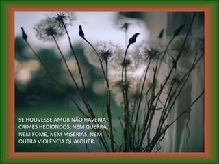 SE HOUVESSE AMOR NÃO HAVERIA
CRIMES HEDIONDOS, NEM GUERRA,
NEM FOME, NEM MISÉRIAS, NEM
OUTRA VIOLÊNCIA QUALQUER.
 
