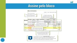 SEI | Bloco de assinatura