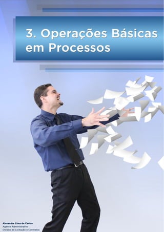 Sistema Eletrônico de Informações – Manual do Usuário 30
 