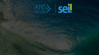 SEI | ANS Digital
