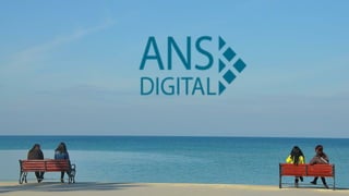 SEI | ANS Digital