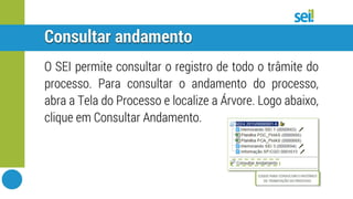 SEI | Consultar andamento do processo