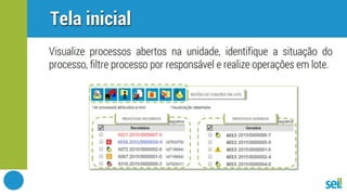 SEI | Controle de processos