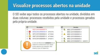 SEI | Controle de processos