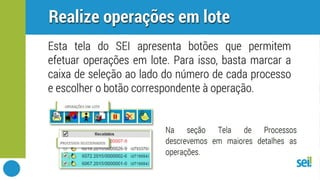 SEI | Controle de processos