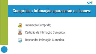 SEI Intimação Eletrônica