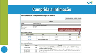 SEI Intimação Eletrônica
