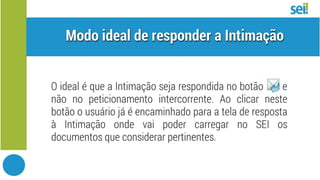 SEI Intimação Eletrônica