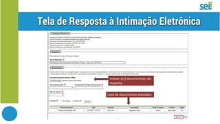 SEI Intimação Eletrônica