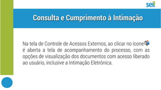 SEI Intimação Eletrônica