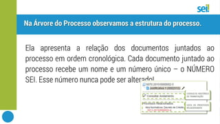 SEI | Tela de processo