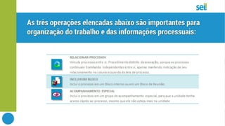 SEI | Tela de processo