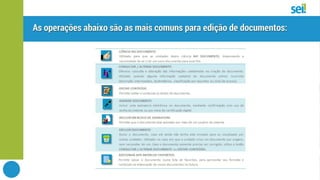 SEI | Tela do documento