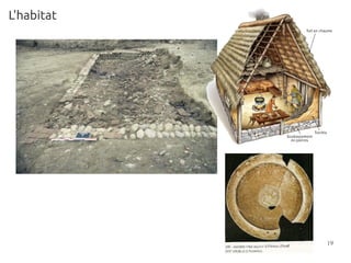 L'habitat




            19
 