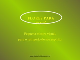 FLORES PARA VOCÊ Pequena mostra visual, para o refrigério de seu espírito. www.sitecuriosidades.com.br 