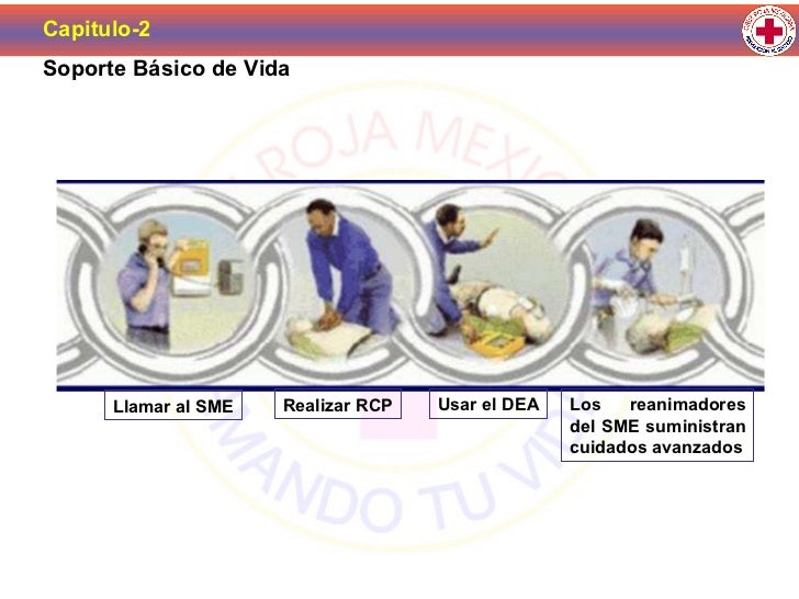 Seis Acciones Para Salvar Una Vida