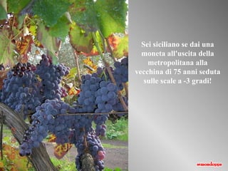 Sei siciliano se dai una moneta all'uscita della metropolitana alla vecchina di 75 anni seduta sulle scale a -3 gradi! 