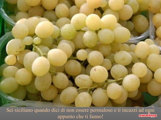 Sei siciliano quando dici di non essere permaloso e ti incazzi ad ogni appunto che ti fanno! 