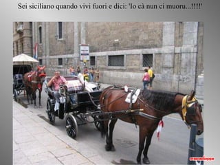 Sei siciliano quando vivi fuori e dici: 'Io cà nun ci muoru...!!!!' 