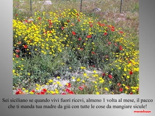 Sei siciliano se quando vivi fuori ricevi, almeno 1 volta al mese, il pacco che ti manda tua madre da giù con tutte le cose da mangiare sicule! 