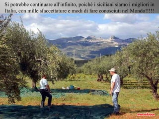 Si potrebbe continuare all'infinito, poiché i siciliani siamo i migliori in Italia, con mille sfaccettature e modi di fare conosciuti nel Mondo!!!!! 