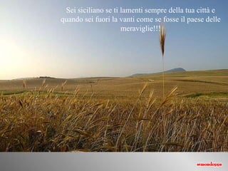 Sei siciliano se ti lamenti sempre della tua città e quando sei fuori   la vanti come se fosse il paese delle meraviglie!!! 