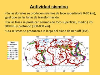 Actividad sísmica
• En las dorsales se producen seísmos de foco superficial ( 0-70 km),
igual que en las fallas de transformación.
• En las fosas se producen seísmos de foco superficial, medio ( 70-
300 km) y profundo (300-800 km).
• Los seísmos se producen a lo largo del plano de Benioff (45º).
 