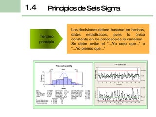 Las decisiones deben basarse en hechos, datos estadísticos, pues lo único constante en los procesos es la variación.  Se debe evitar el “...Yo creo que...” o “...Yo pienso que...” Principios de Seis Sigma 1.4 Tercero principio 