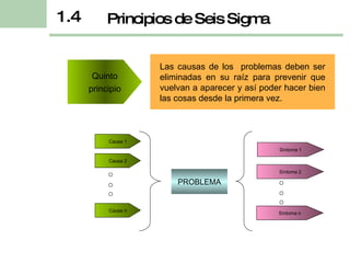 Las causas de los  problemas deben ser eliminadas en su raíz para prevenir que vuelvan a aparecer y así poder hacer bien las cosas desde la primera vez. Principios de Seis Sigma 1.4 Quinto principio Causa 1 PROBLEMA Síntoma 1 Síntoma 2 Síntoma n Causa 2 Causa n 