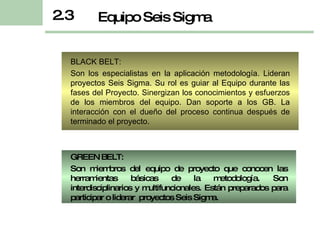 BLACK BELT: Son los especialistas en la aplicación metodología. Lideran proyectos Seis Sigma. Su rol es guiar al Equipo durante las fases del Proyecto. Sinergizan los conocimientos y esfuerzos de los miembros del equipo. Dan s oporte a los GB.  La interacción con el dueño del proceso continua después de terminado el proyecto. 2.3 Equipo Seis Sigma GREEN BELT: Son miembros del equipo de proyecto que conocen las herramientas básicas de la metodología. Son interdisciplinarios y multifuncionales. Están preparados para participar o liderar  proyectos Seis Sigma. 