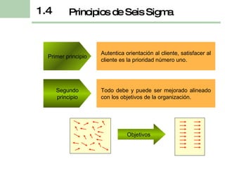 Autentica orientación al cliente, satisfacer al cliente es la prioridad número uno. Principios de Seis Sigma 1.4 Primer principio Todo debe y puede ser mejorado alineado con los objetivos de la organización . Segundo principio Objetivos 