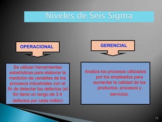 OPERACIONAL                         GERENCIAL



    Se utilizan herramientas
  estadísticas para elaborar la    Analiza los procesos utilizados
 medición de variables de los            por los empleados para
  procesos industriales con el        aumentar la calidad de los
fin de detectar los defectos (el          productos, procesos y
    6σ tiene un rango de 3.4                     servicios.
   defectos por cada millón)


                                                                     13
 