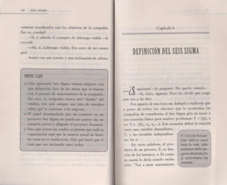 Seis sigma barbara wheat