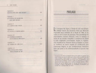 Seis sigma barbara wheat