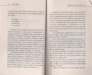 Seis sigma barbara wheat