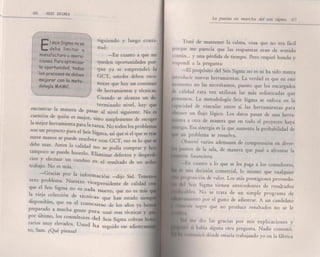 Seis sigma barbara wheat