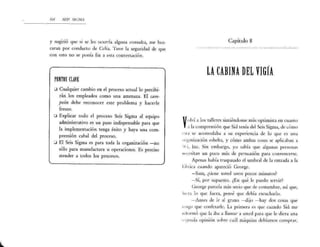 Seis sigma barbara wheat