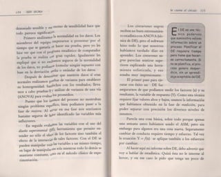 Seis sigma barbara wheat