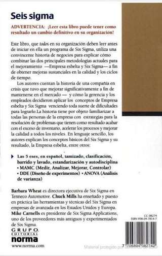 Seis sigma barbara wheat