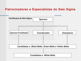 Patrocinadores e Especialistas do Seis Sigma
Champions
Candidatos a Black Belts, Green Belts e Yellow Belts
Sponsor
Comitê-guia do Seis Sigma
CoordenadorSponsor Facilitador
Candidatos a White Belts
 