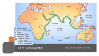 Out of Africa migration	   Stringer, C. Nature 2000; 405: 24-26
 