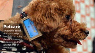 Petcare
A wearable device
that tracks dog's
health by recording
data which owners
can access on their
smartphones or
computers.

A wearable device
that tracks dog's
health by recording
data owners can
access on their
smartphones or
computers.

 