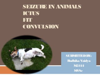 SEIZURE IN ANIMALS
ICTUS
FIT
CONVULSION
SUBMITTEDBY:
Radhika Vaidya
M5444
MVSc
 
